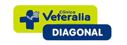Logotip Veteralia Diagonal