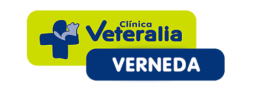 Logotip Veteralia Verneda