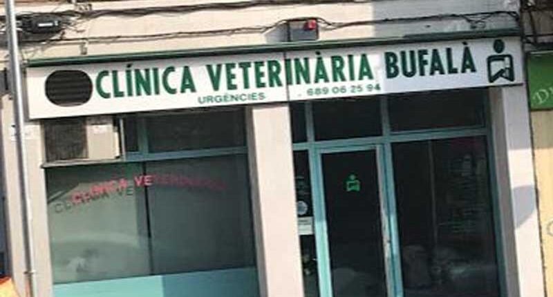 Clínica Veterinària Bufalà - Centre Associat a Veteralia