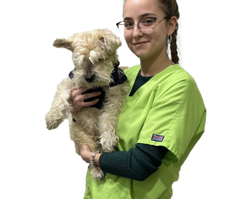 Marta Gómez - Espai Veterinari - Viladecans Marta Gómez - Espai Veterinari - Viladecans